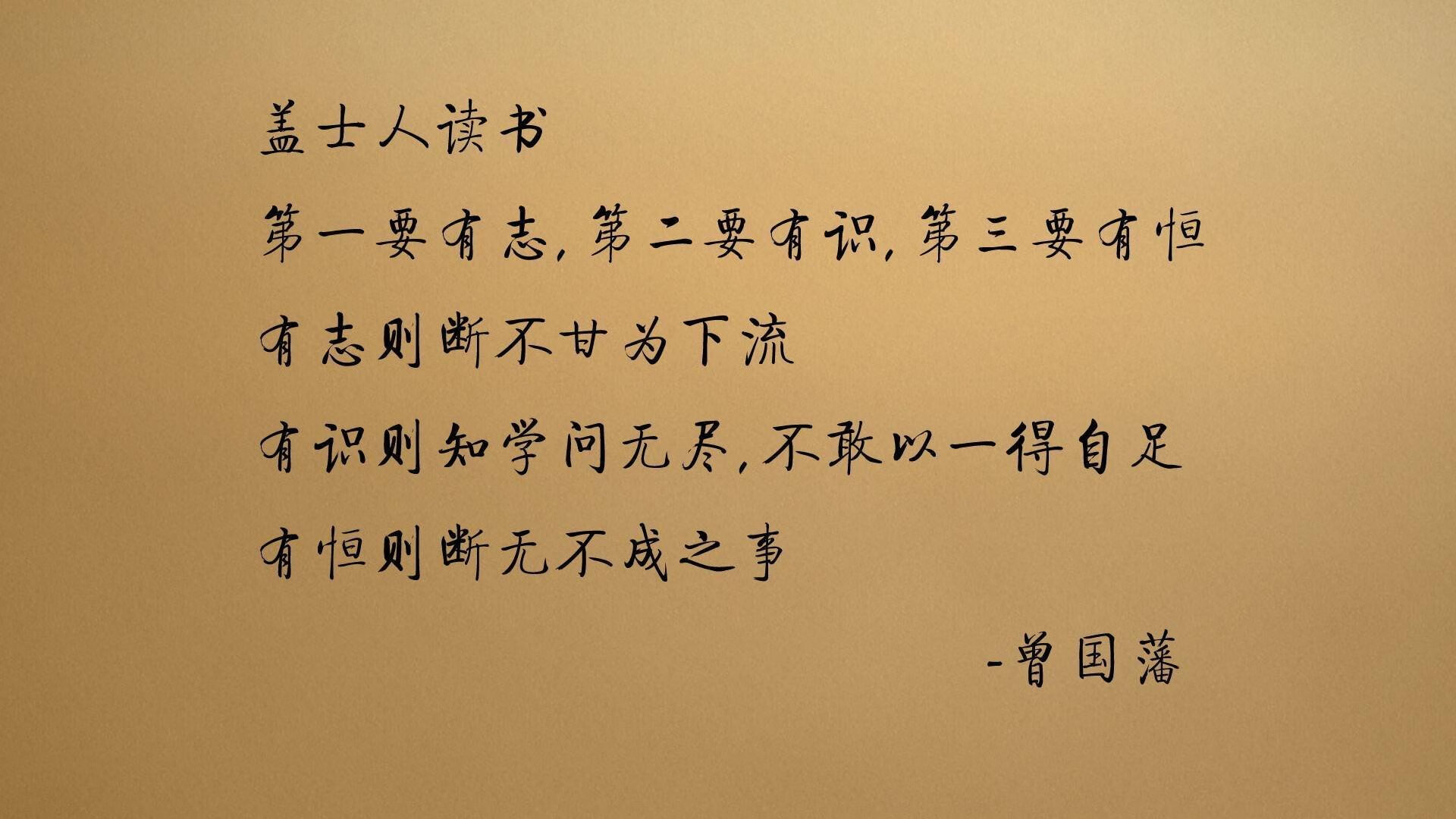 _马术表演盛典：优雅与力量的魅力展示_，马术表演完整视频在线观看