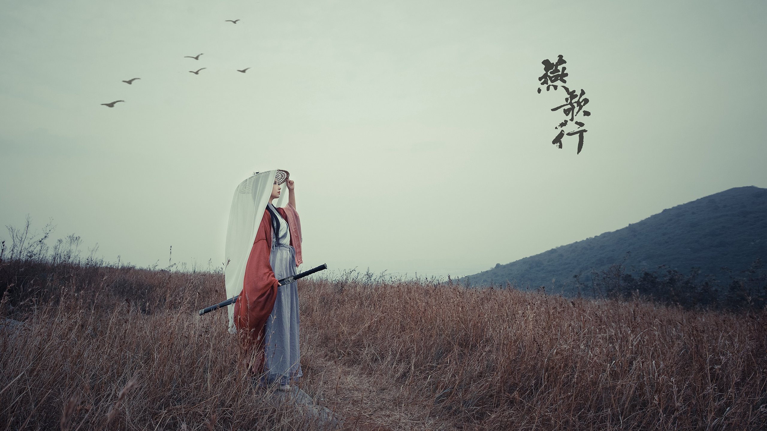 中超明星球员转会动态全解析，中超转会身价排名