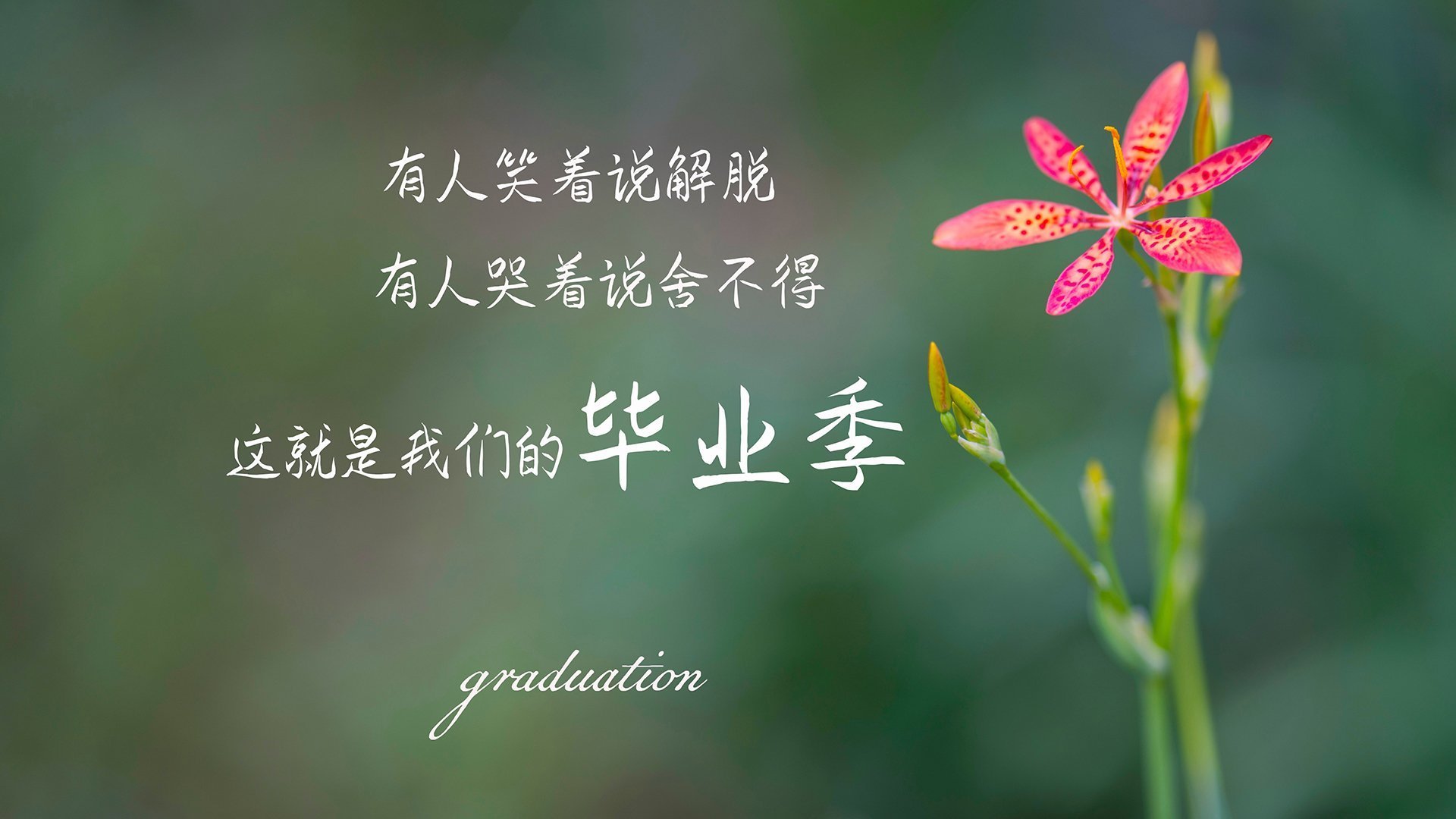 哥伦比亚马术协会举办青少年马术交流活动，促进国际友谊。，哥伦比亚马戏团在线观看