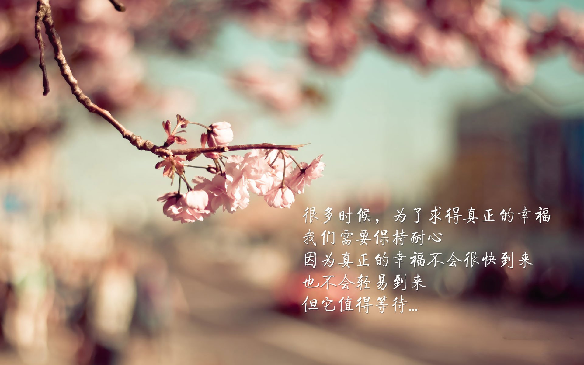 青训场馆智能监控系统优化，确保青少年的训练安全与效率，青训管理