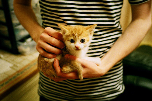 凯泽斯劳滕高歌猛进，梦想前行披荆斩棘，凯泽斯劳滕夺冠主力