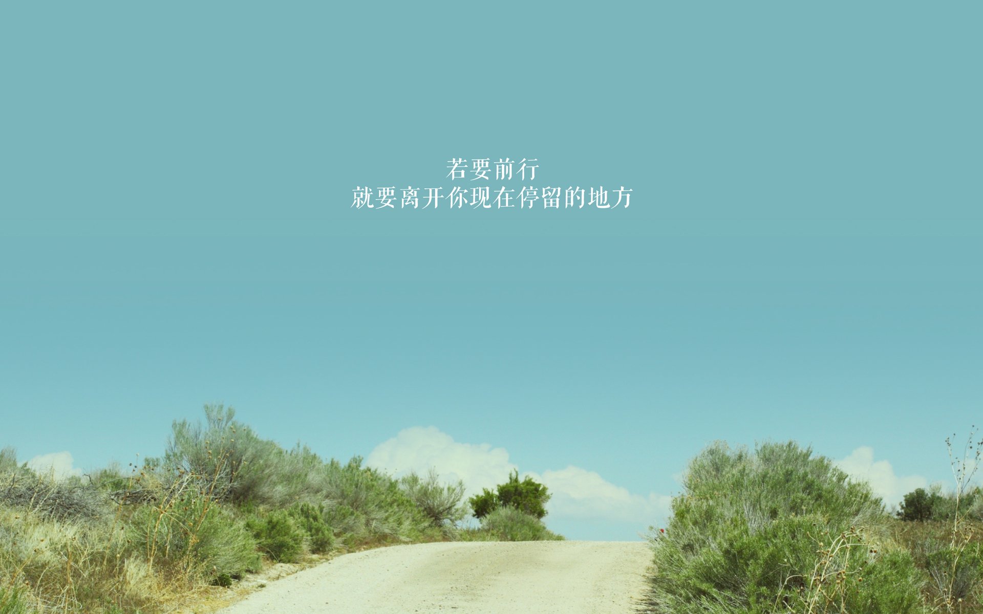 南美球队诸神归位，巴拉圭球队晋级，巴拉圭球迷