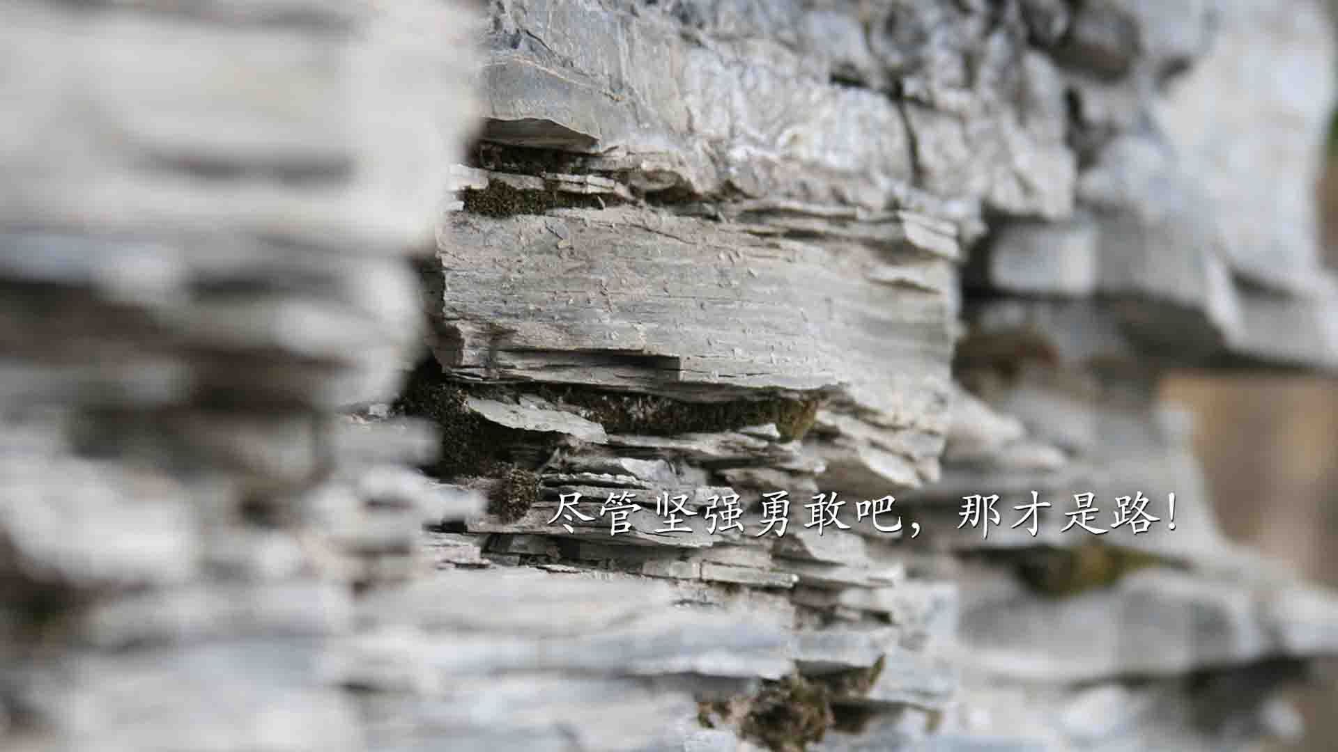 战术大揭秘！各队战术解密带你揭秘胜负天秤