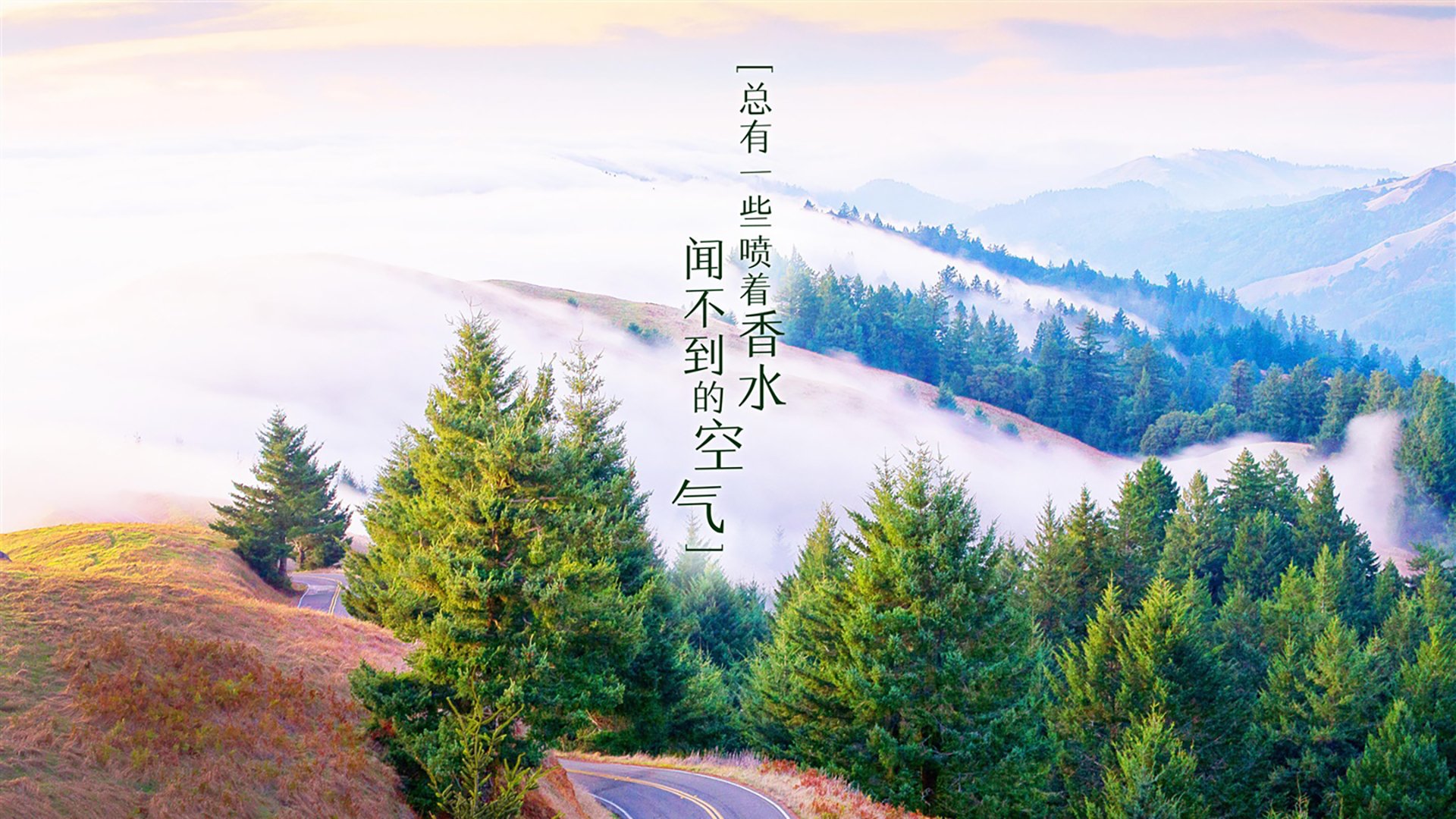 纽伦堡客场失利，球队面临连败危机，纽伦堡规则是什么