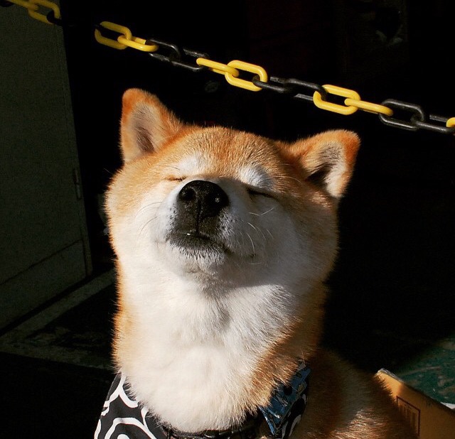 开云体育-马刺状元秀再砍高分展现核心潜质，马刺为了状元签邓肯