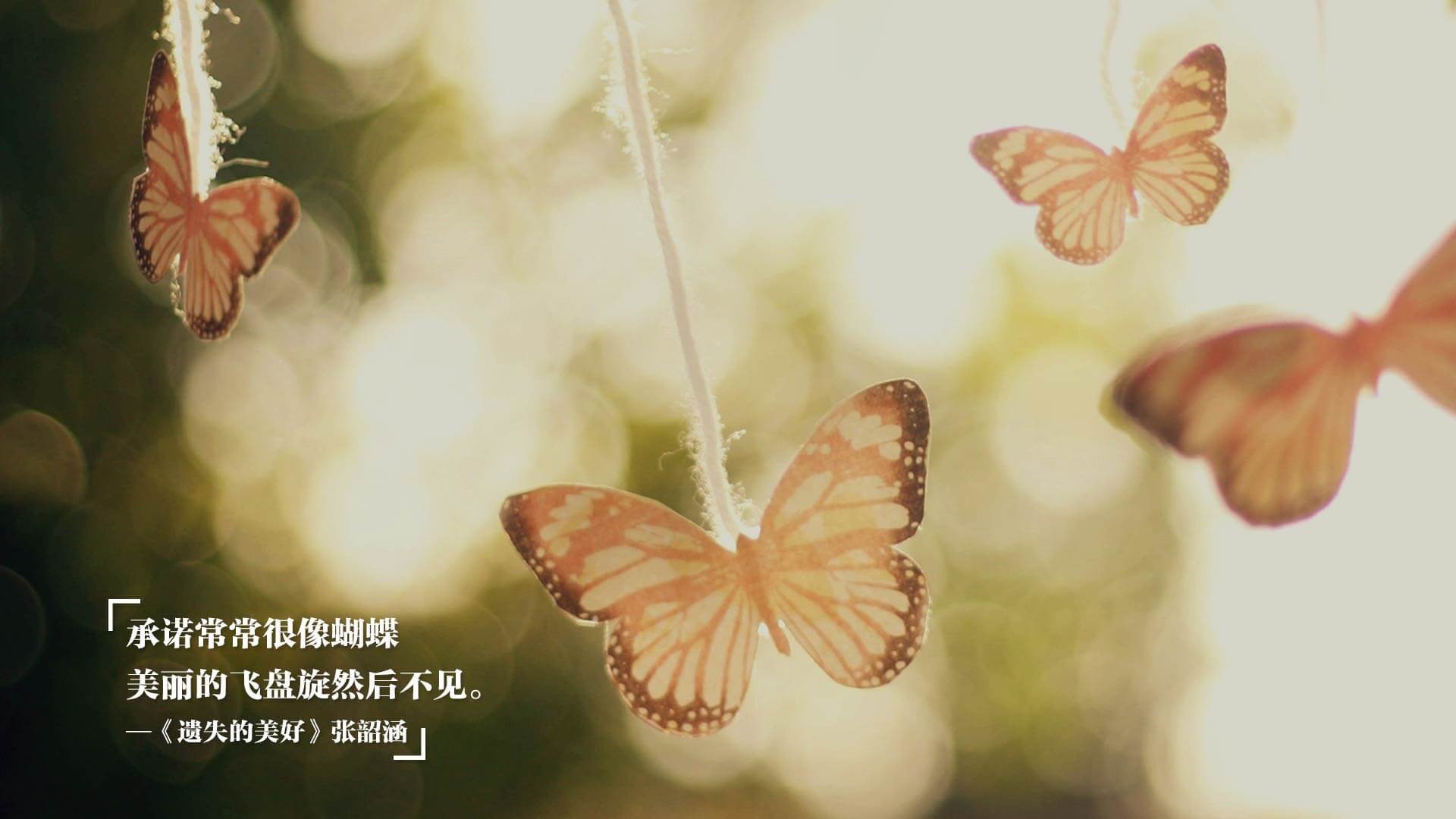 麦克沃伊赛场之外坚持科学训练,麦克沃伊学霸